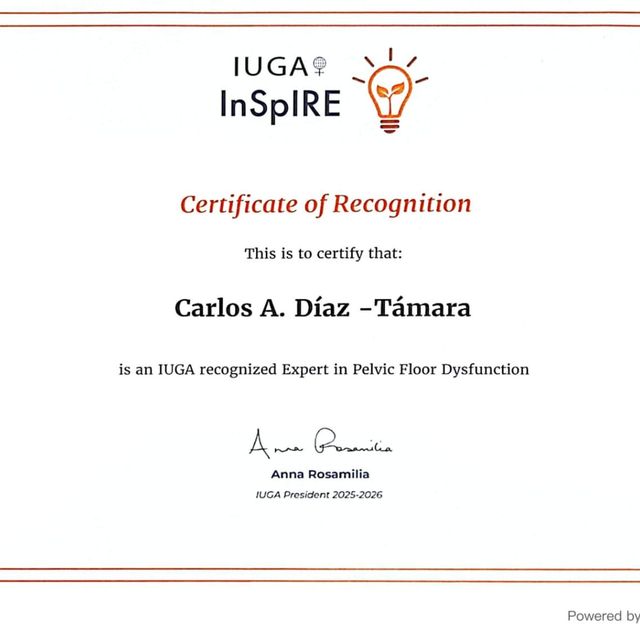 Acercar imagen: certificate 1