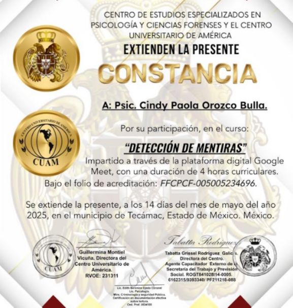 Acercar imagen: certificate 13