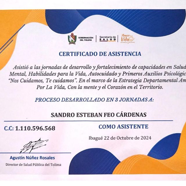 Acercar imagen: certificate 13