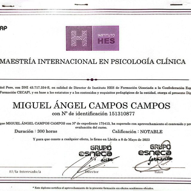 Acercar imagen: certificate 7