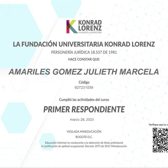 Acercar imagen: certificate 5