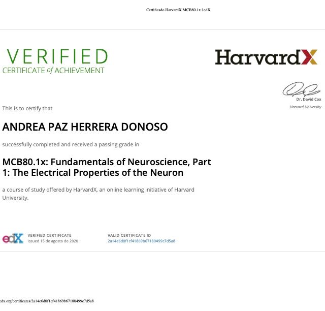 Acercar imagen: certificate 2