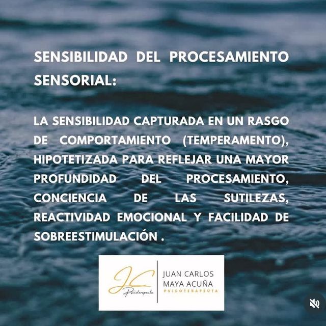 Acercar imagen: certificate 26