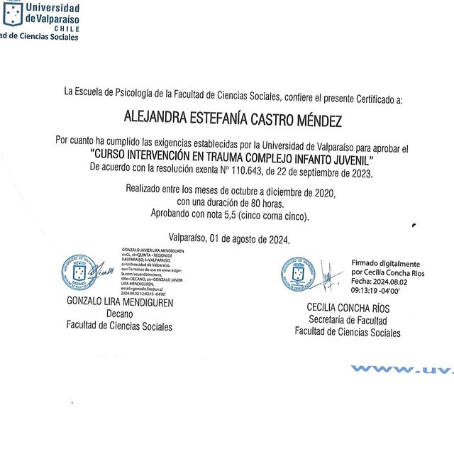 Acercar imagen: certificate 10