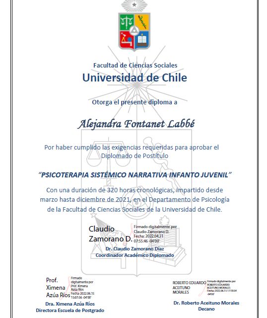 Acercar imagen: certificate 3
