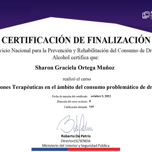Acercar imagen: certificate 3
