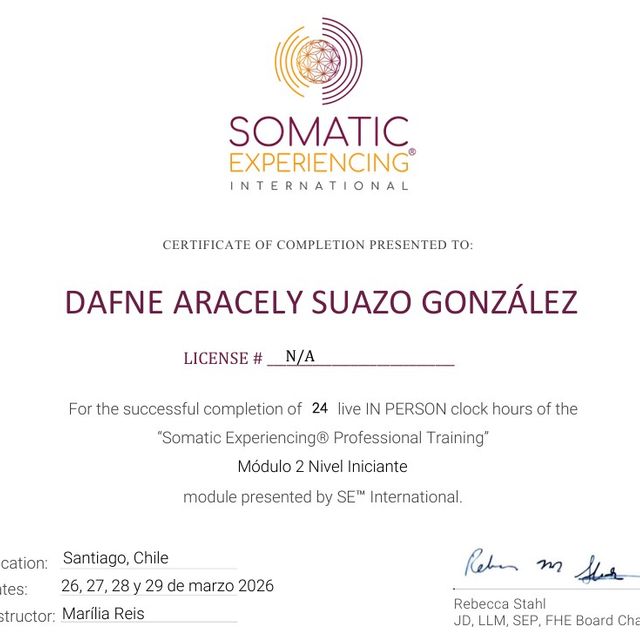 Acercar imagen: certificate 6