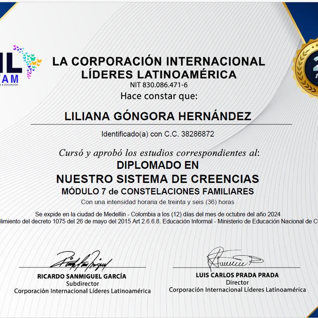 Acercar imagen: certificate 21