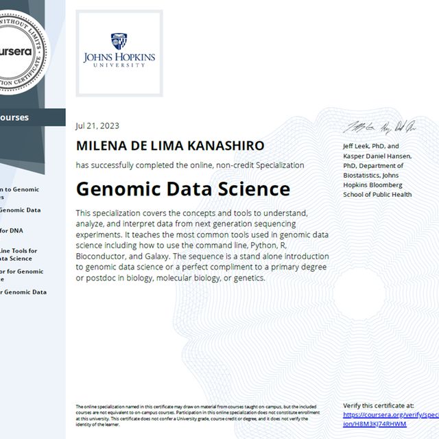 Ampliar imagem: certificate 3