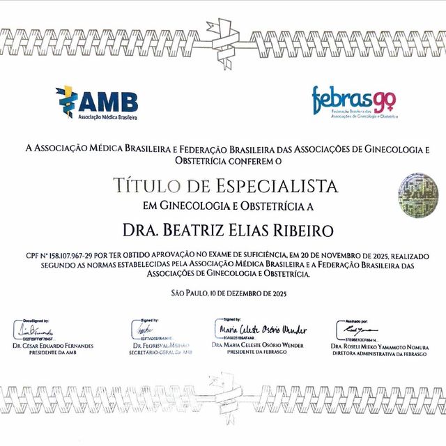 Ampliar imagem: certificate 2