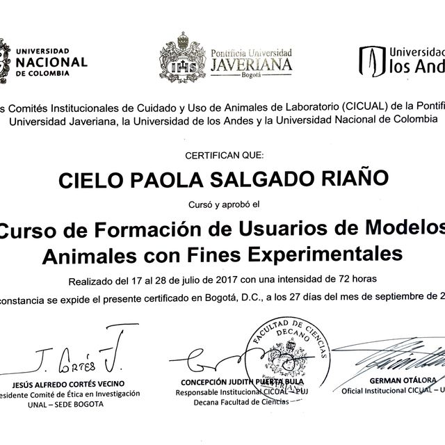 Acercar imagen: certificate 13