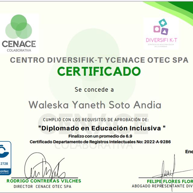 Acercar imagen: certificate 6