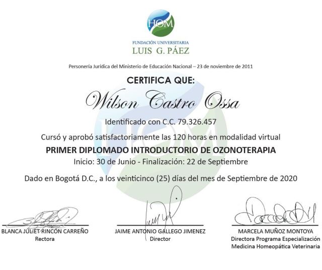Acercar imagen: certificate 6