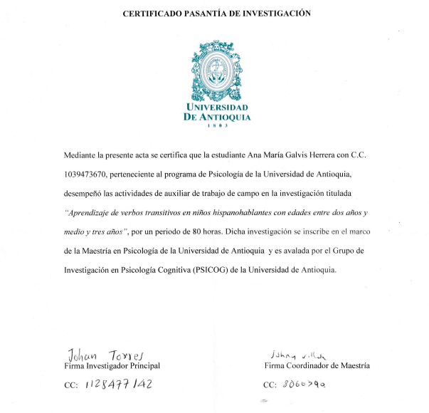 Acercar imagen: certificate 6