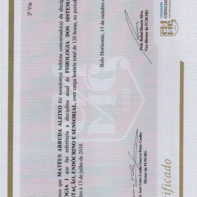 Ampliar imagem: certificate 10