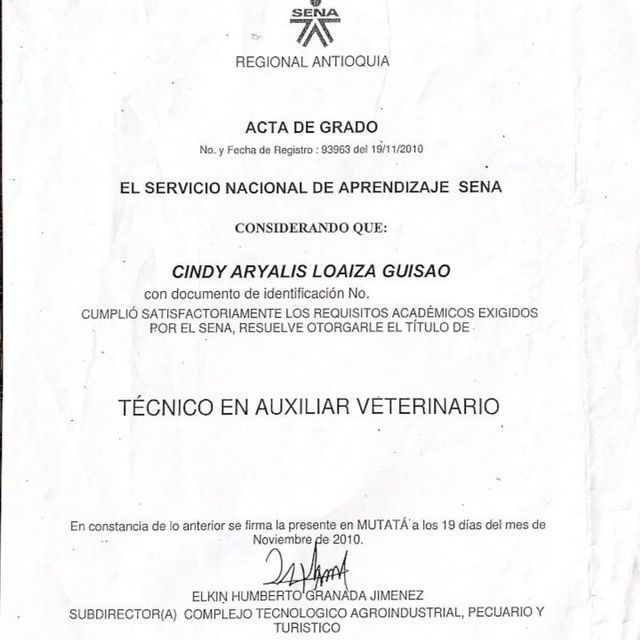 Acercar imagen: certificate 6