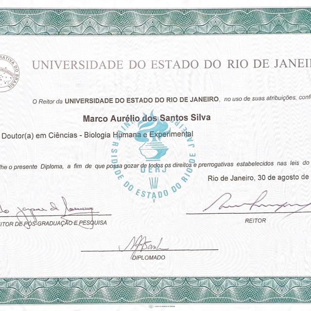 Ampliar imagem: certificate 11