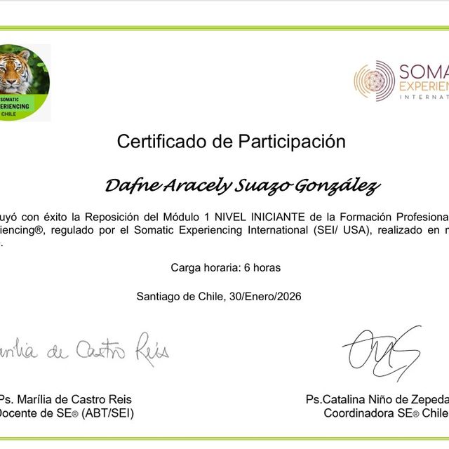 Acercar imagen: certificate 5