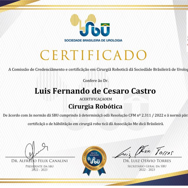 Ampliar imagem: certificate 3
