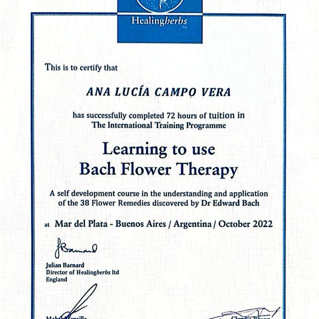 Acercar imagen: certificate 8