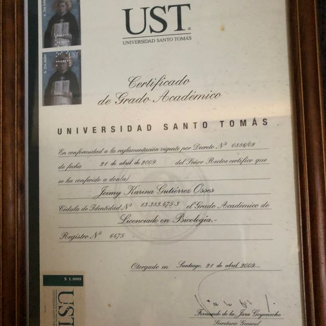 Acercar imagen: certificate 1