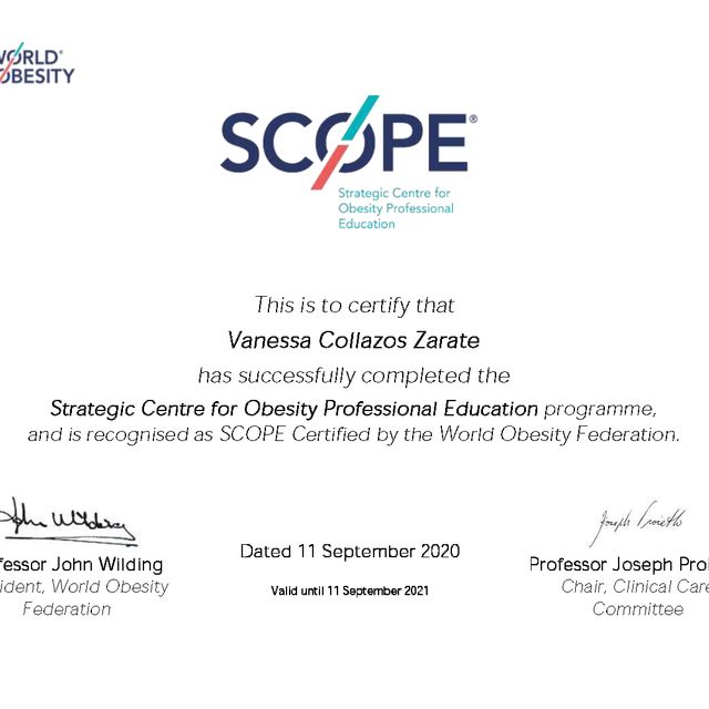 Acercar imagen: certificate 2
