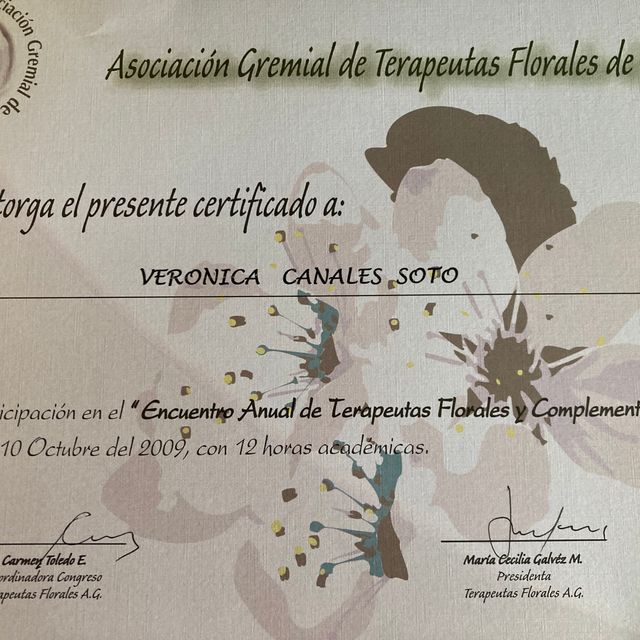 Acercar imagen: certificate 8