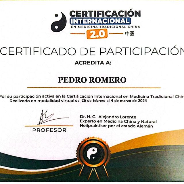 Acercar imagen: certificate 9
