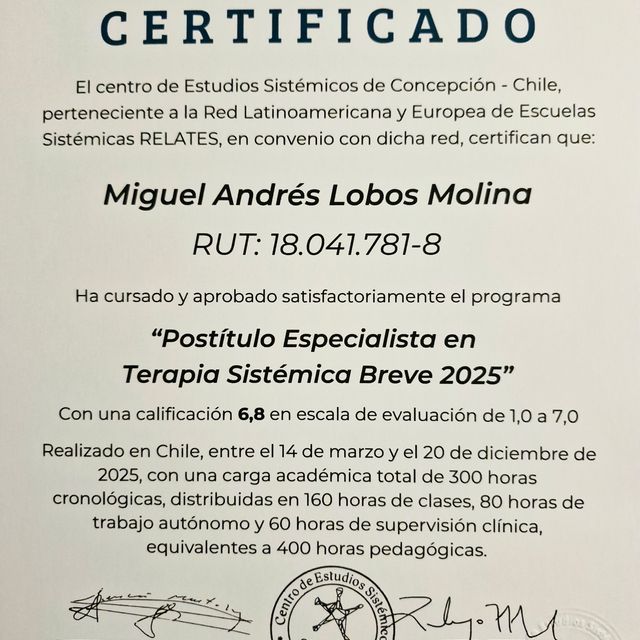 Acercar imagen: certificate 2