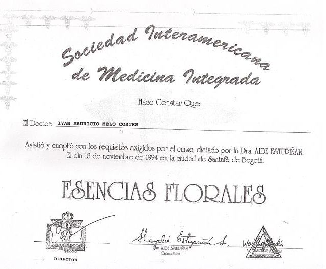 Acercar imagen: certificate 41