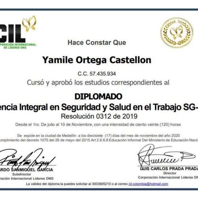 Acercar imagen: certificate 8