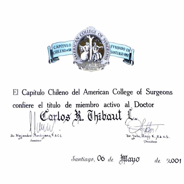 Acercar imagen: certificate 3