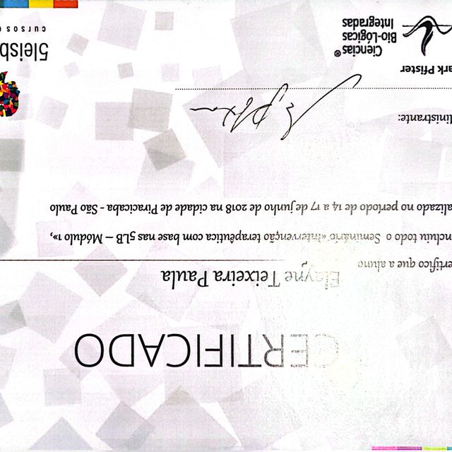 Ampliar imagem: certificate 13
