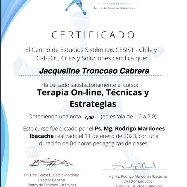 Acercar imagen: certificate 19