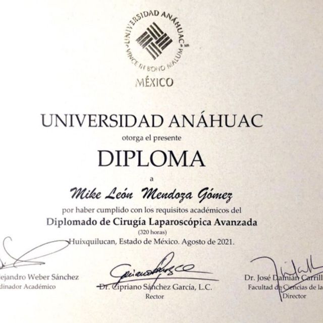 Acercar imagen: certificate 6