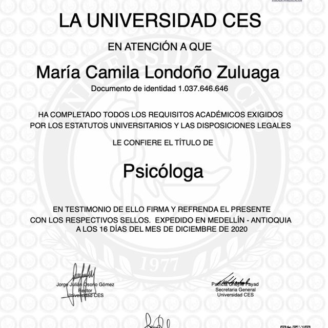 Acercar imagen: certificate 2