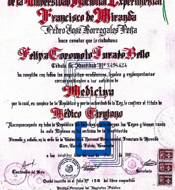 Acercar imagen: certificate 2