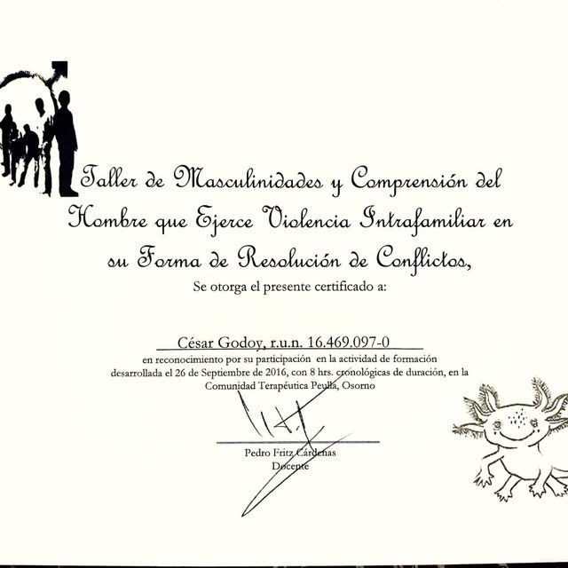 Acercar imagen: certificate 12