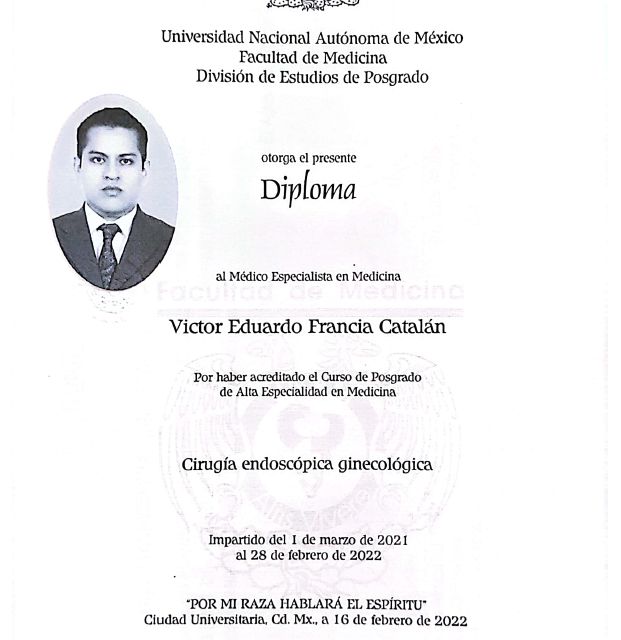 Acercar imagen: certificate 4