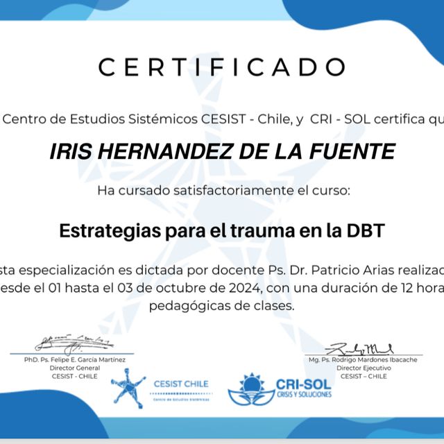 Acercar imagen: certificate 11