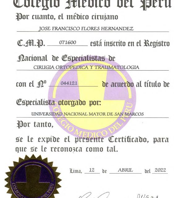 Acercar imagen: certificate 5