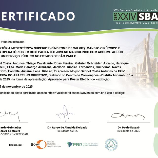 Ampliar imagem: certificate 13