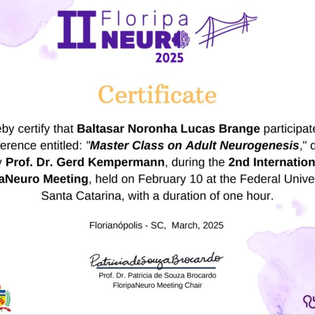 Ampliar imagem: certificate 30