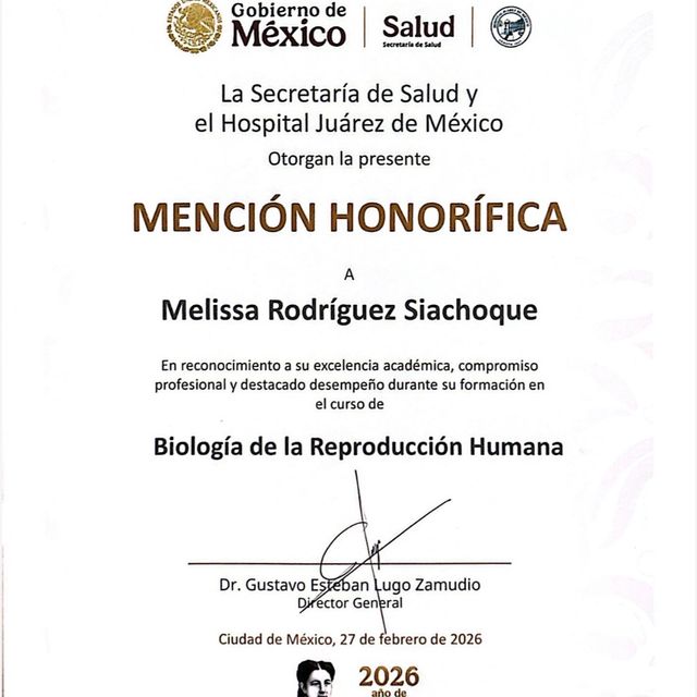Acercar imagen: certificate 3
