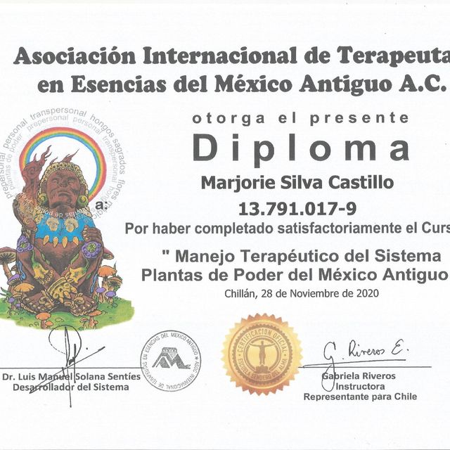 Acercar imagen: certificate 3