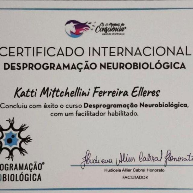 Ampliar imagem: certificate 6