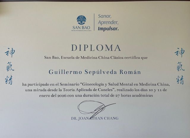 Acercar imagen: certificate 3