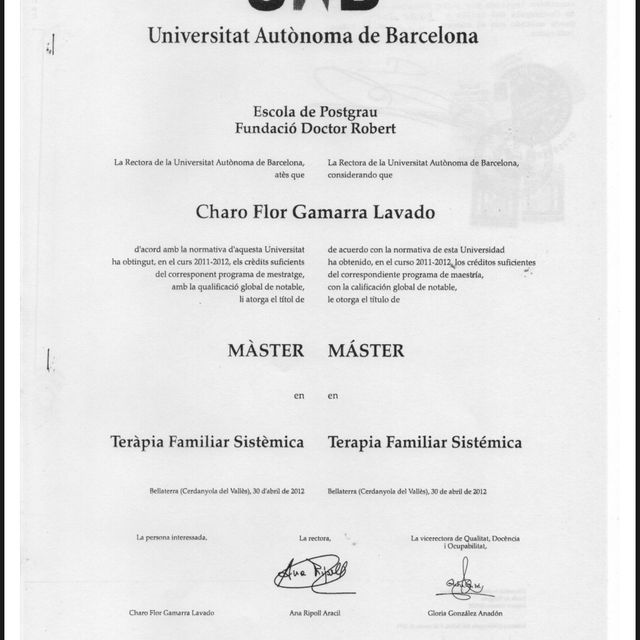 Acercar imagen: certificate 1