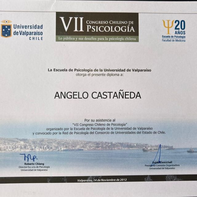 Acercar imagen: certificate 8