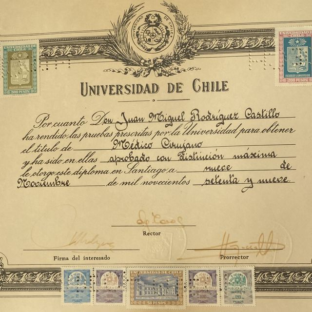 Acercar imagen: certificate 5